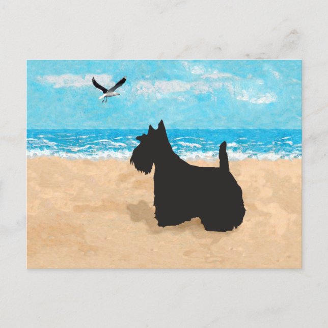 Scottie at the Beach with Seagull Postcard (Front)
