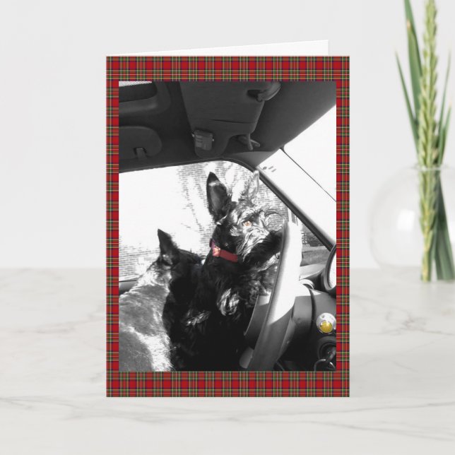 Scottie Card (Front)