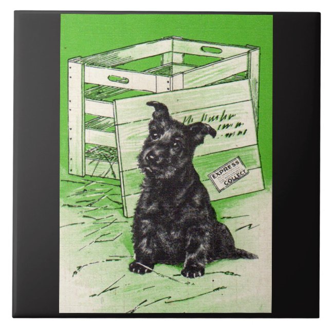 Scottie dog by special delivery ceramic tile (Front)