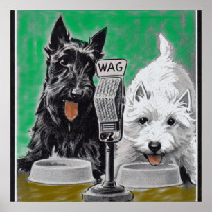 Scottie dogs Blackie and Whitie on the radio Poster