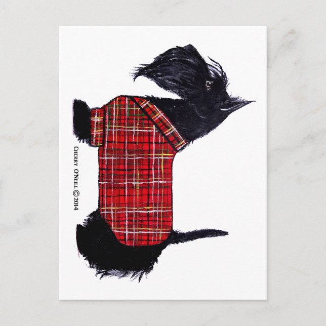 Scottie Holiday Jacket Postcard (Front)
