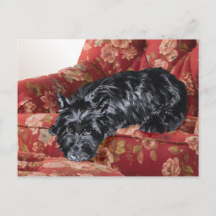 Scottie in a Big Red Chair Postcard