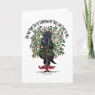 Scottie in a Pear Tree Holiday Card