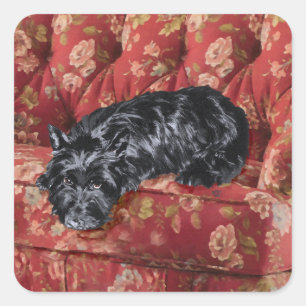 Scottie in Big Red Chair Square Sticker