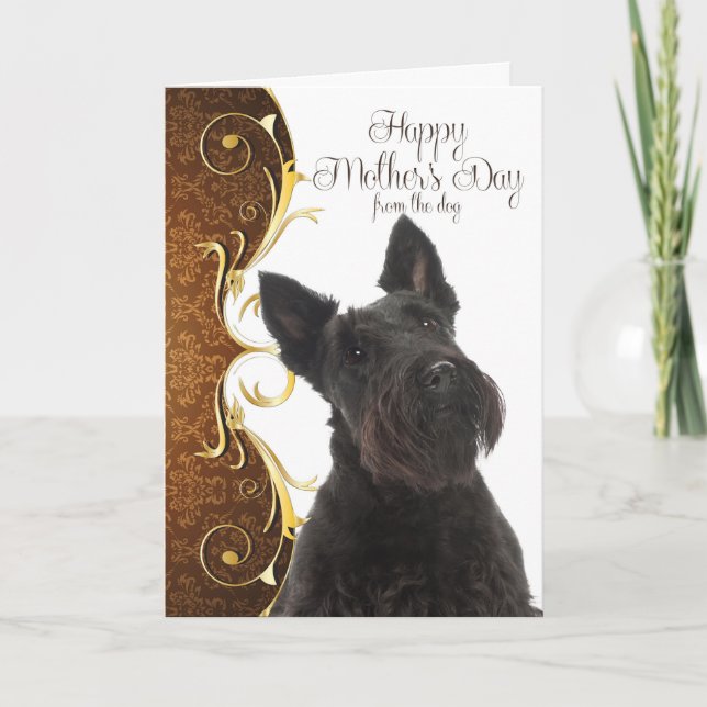 Scottie Mother's Day Card (Front)