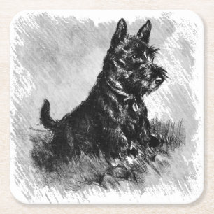 Scottie Puppy Charcoal Style Print Square Paper Coaster