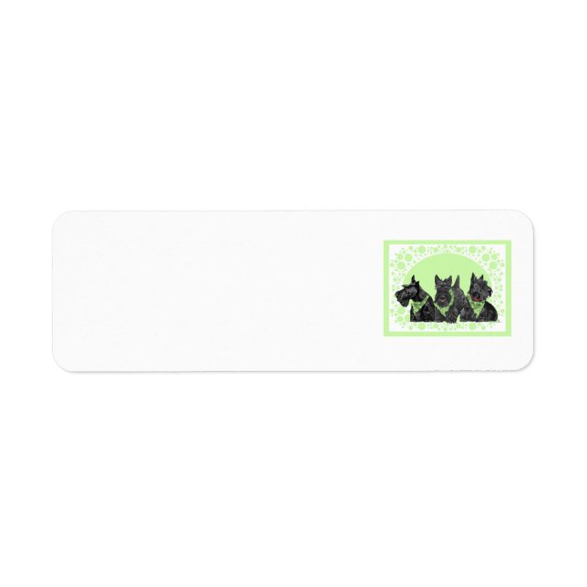 SCOTTIE Return Address Labels (Front)