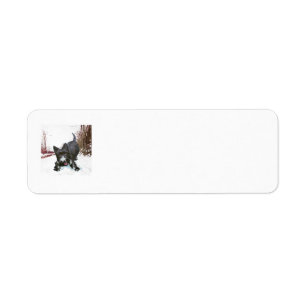 SCOTTIE Return Address Labels