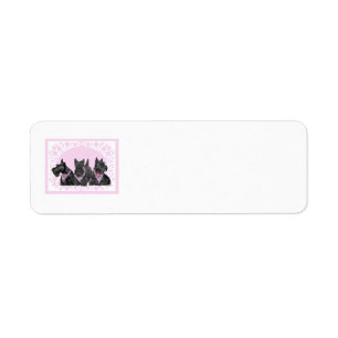SCOTTIE Return Address Labels
