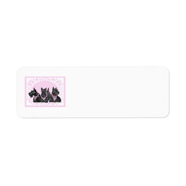 SCOTTIE Return Address Labels (Front)