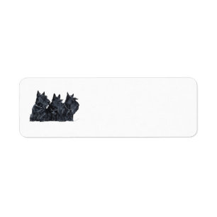 SCOTTIE Return Address Labels