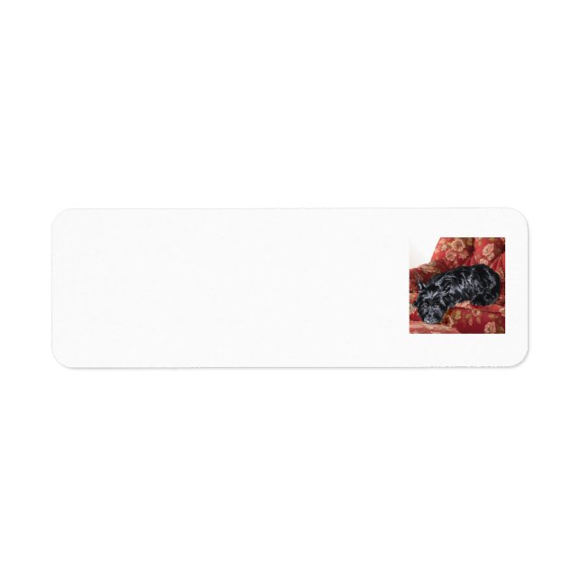 SCOTTIE Return Address Labels (Front)