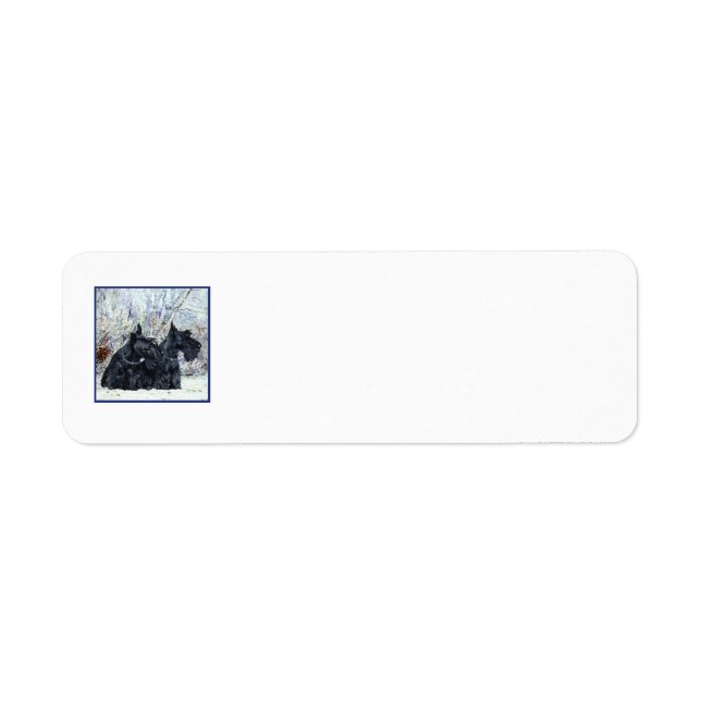 SCOTTIE Return Address Labels (Front)