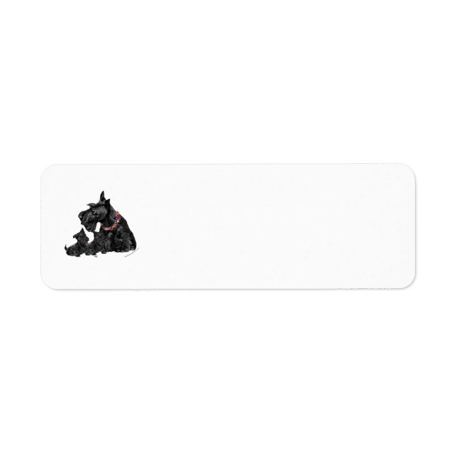 SCOTTIE Return Address Labels (Front)