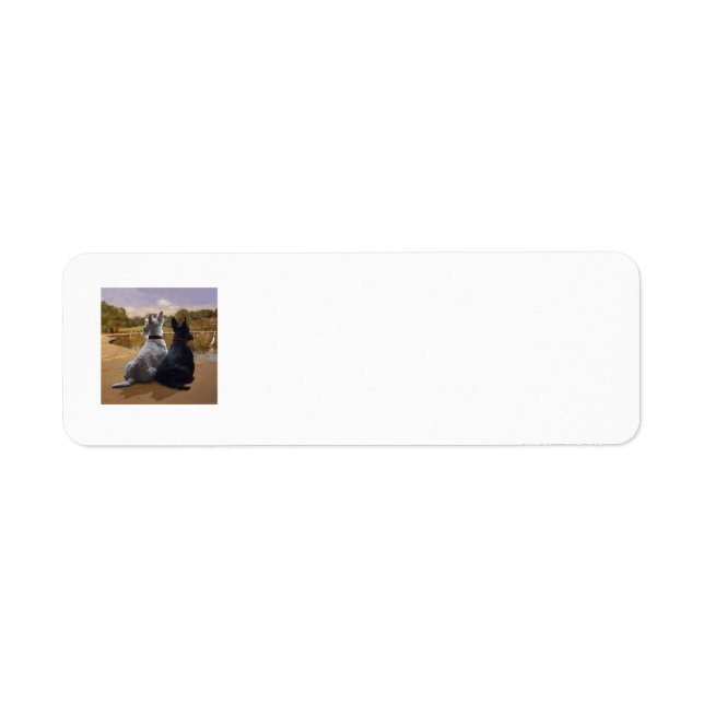 SCOTTIE Return Address Labels (Front)