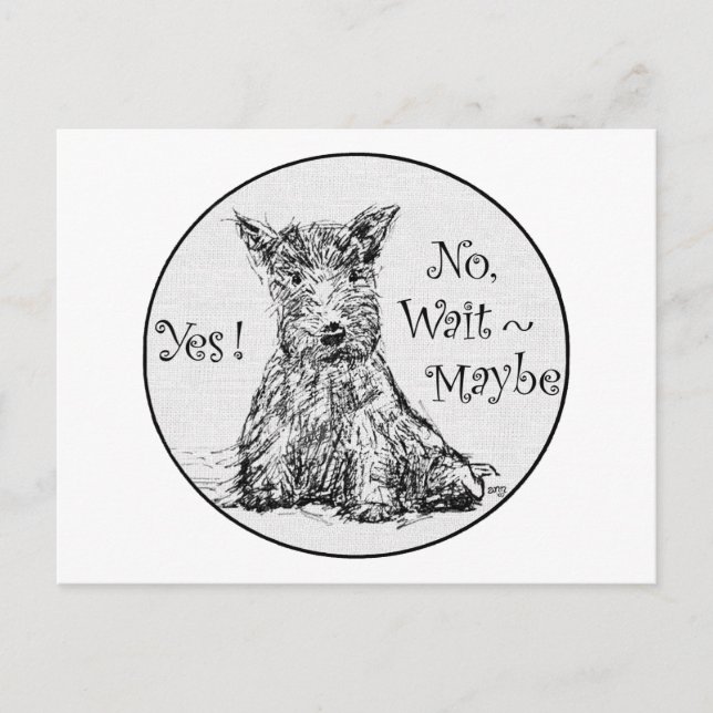 Scottie Sketch - Indecision Postcard (Front)