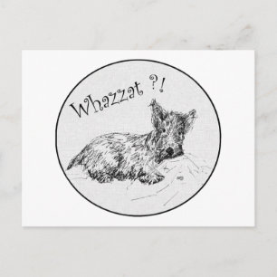 Scottie Sketch - Whazzat? Postcard