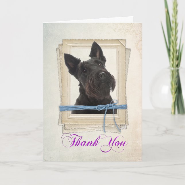 Scottie Thank You Card (Front)