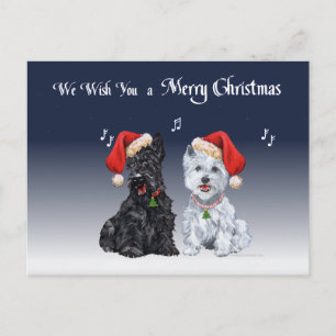 Scottie & Westie Christmas Carols Holiday Postcard