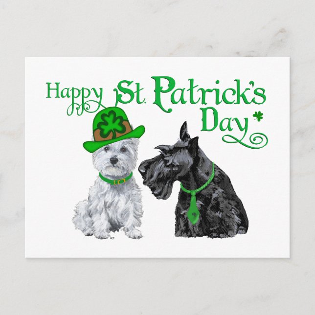 Scottie & Westie St. Paddy's Day Postcard (Front)