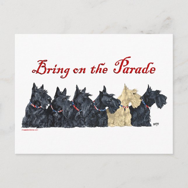 Scotties All in a Row Postcard (Front)