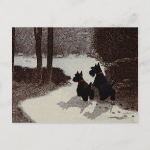 Scotties on Surreal Winter Night Postcard
