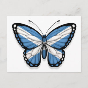 Scottish Butterfly Flag Postcard