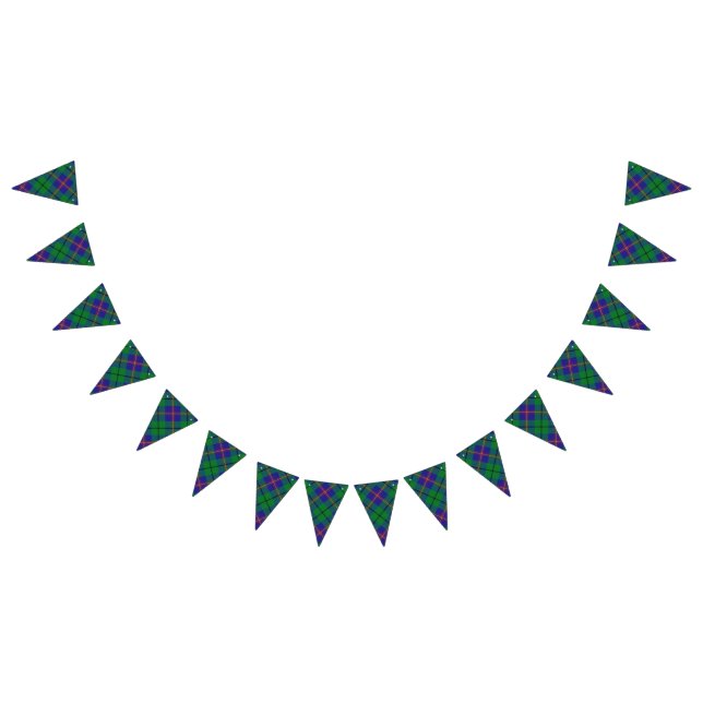Scottish Clan Carmichael Tartan Bunting (All)