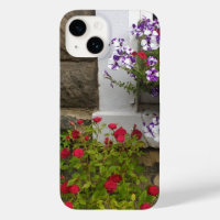 Scottish cottage window with petunias and roses