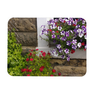 Scottish cottage window with petunias and roses magnet