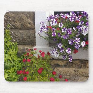Scottish cottage window with petunias and roses mouse pad