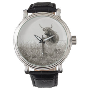 Scottish cow photograph watch