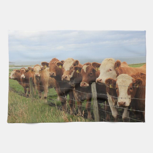 Scottish Cow Tea Towel (Horizontal)