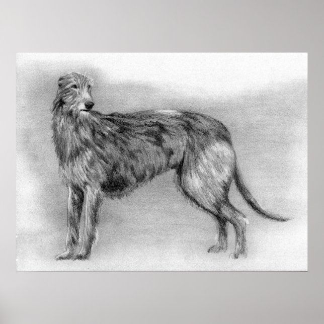 Scottish Deerhound Dog Portrait Poster (Front)