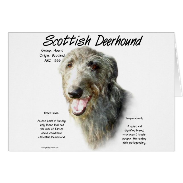 Scottish Deerhound History Design (Front Horizontal)