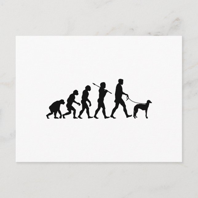 Scottish Deerhound Postcard (Front)