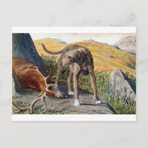 Scottish deerhound postcard