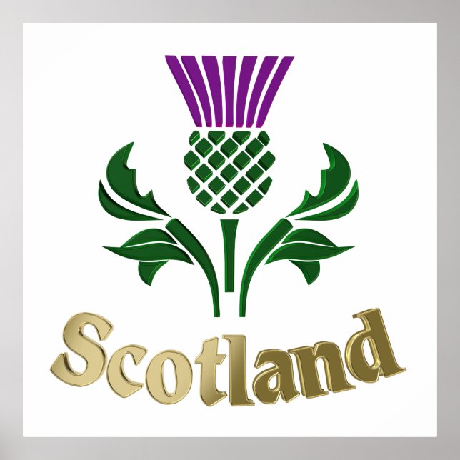 Scottish emblem thistle poster (Front)