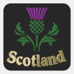 Scottish emblem thistle square sticker