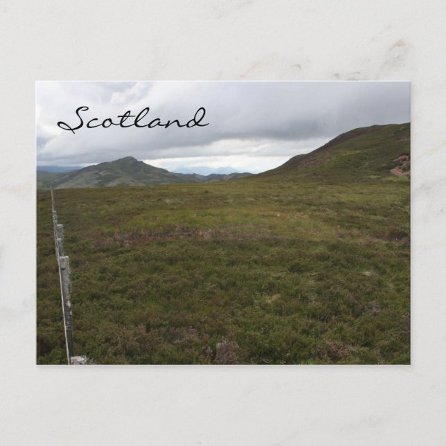 scottish farm highland postcard (Front)