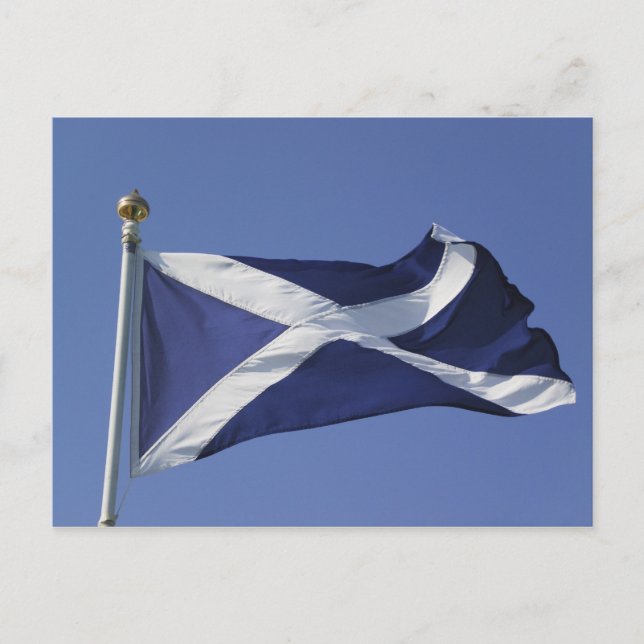 Scottish Flag Postcard (Front)