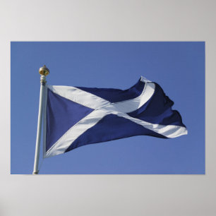 Scottish Flag Poster