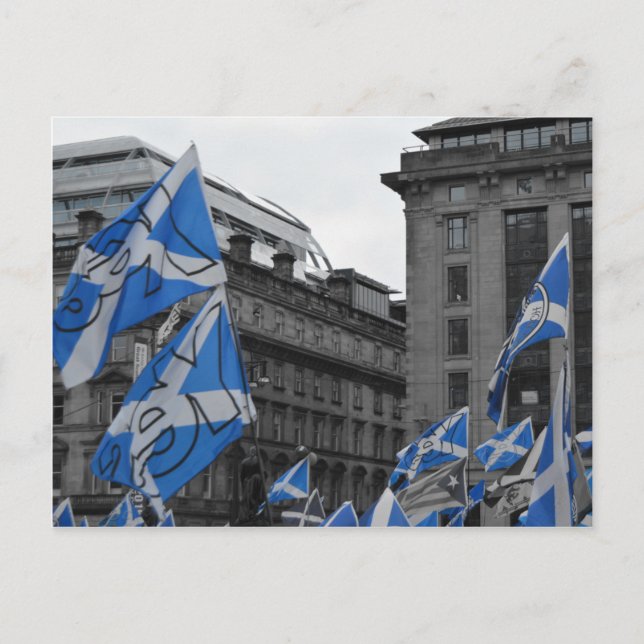 Scottish Flags Fly Proudly in Glasgow Postcard (Front)