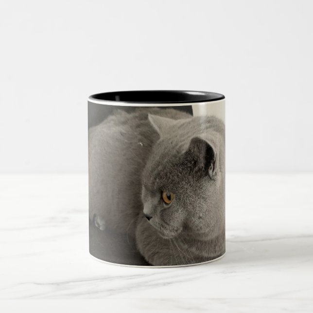 scottish fold cat coffee mug (Center)