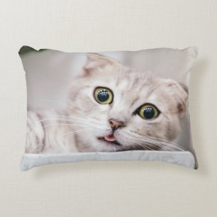 Scottish Fold Cat Decorative Cushion