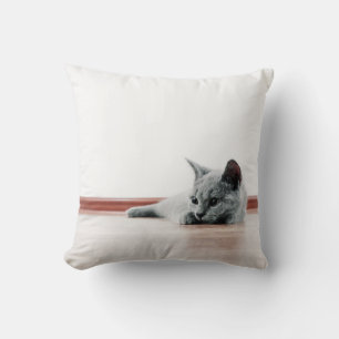 Scottish Fold Cat Kitten Super Cute Cushion