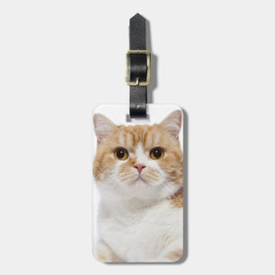 Scottish Fold Cat Luggage Tag