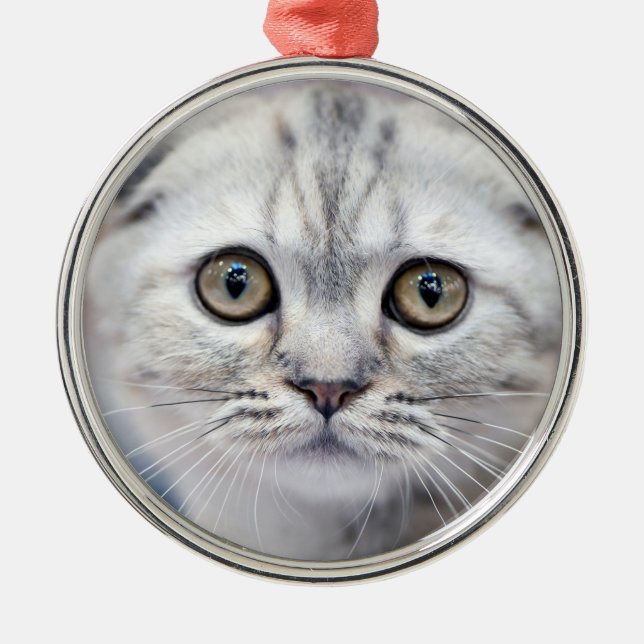 Scottish Fold Cat Metal Ornament (Front)