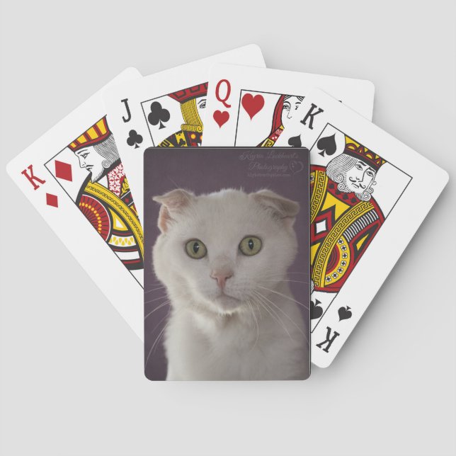 Scottish fold Cat Playing Cards (Back)
