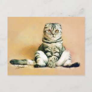 Scottish Fold Cat Sitting Portrait Postcard